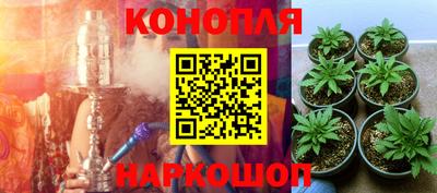 mix Кингисепп
