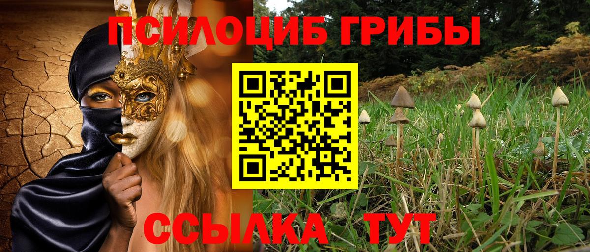 Галлюциногенные грибы Psilocybe Когалым