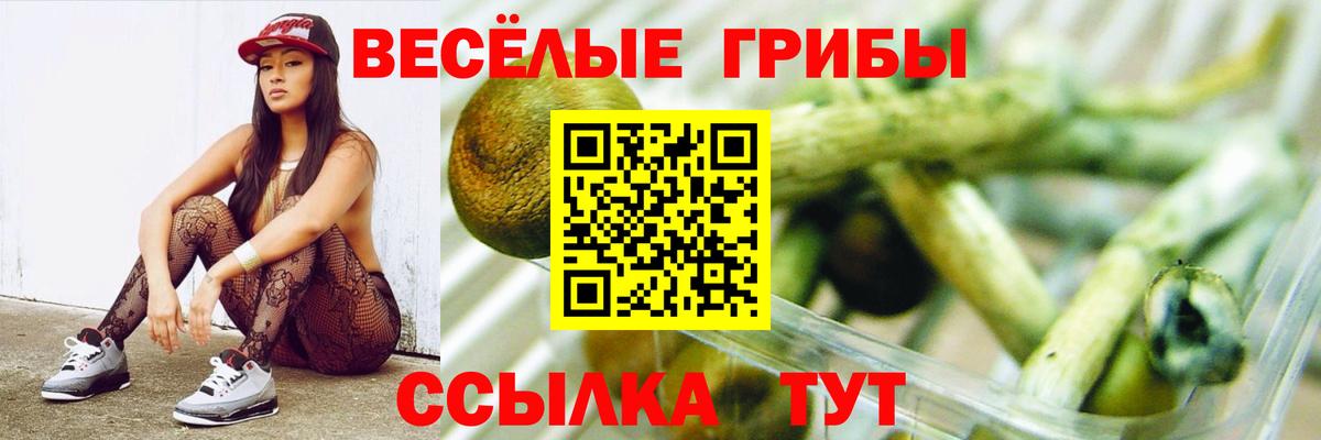 Когалым  Галлюциногенные грибы Cubensis  Псилоцибиновые грибы прущие грибы  купить   Вход с VPN 